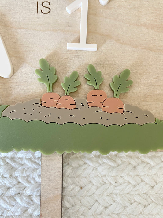 Personalized Boy Bunny Birthday Cake Topper