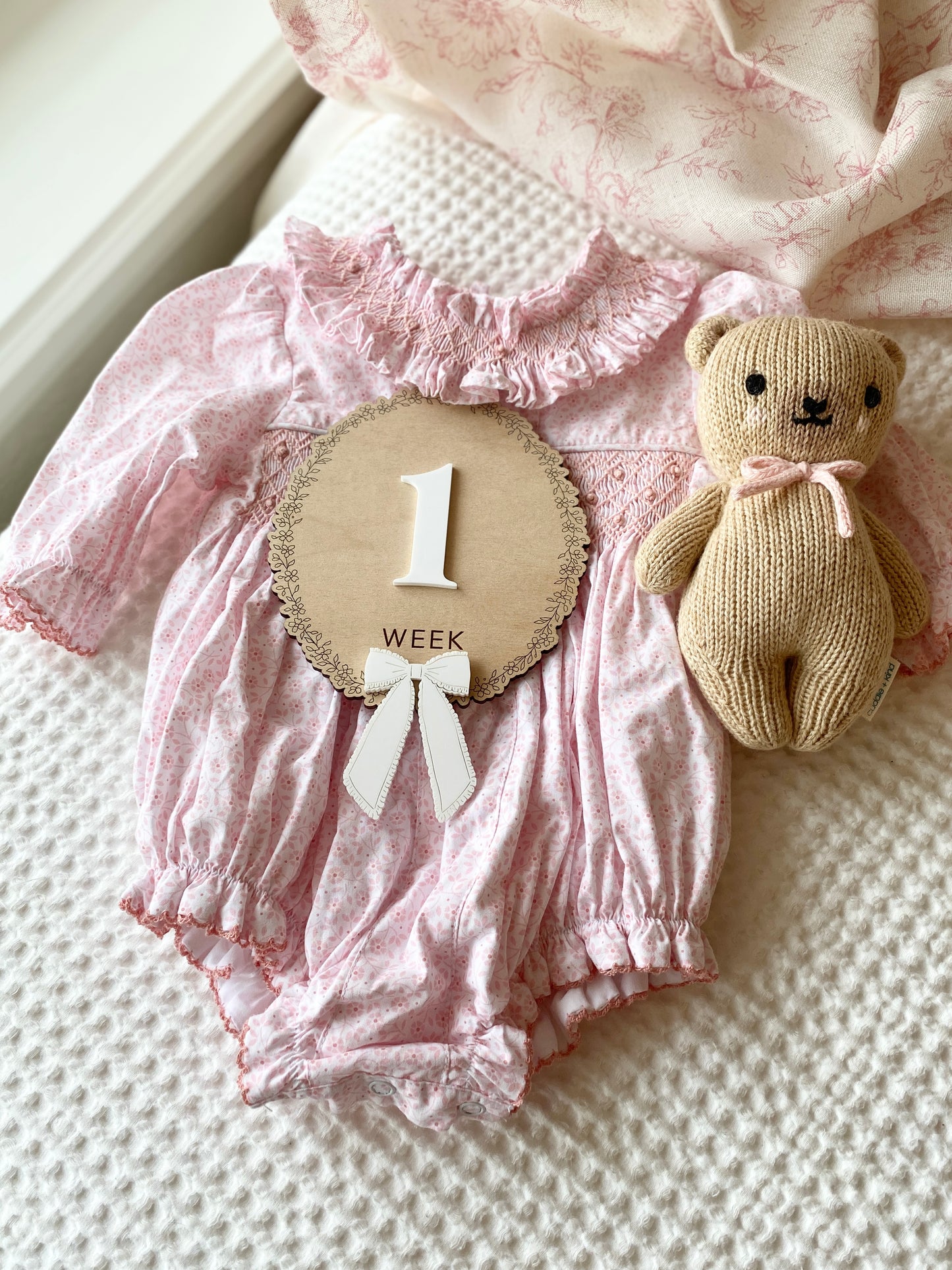 Baby Weekly Milestone Photo Markers