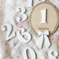 Baby Monthly Milestone Photo Markers | 1–12 Months + First Year