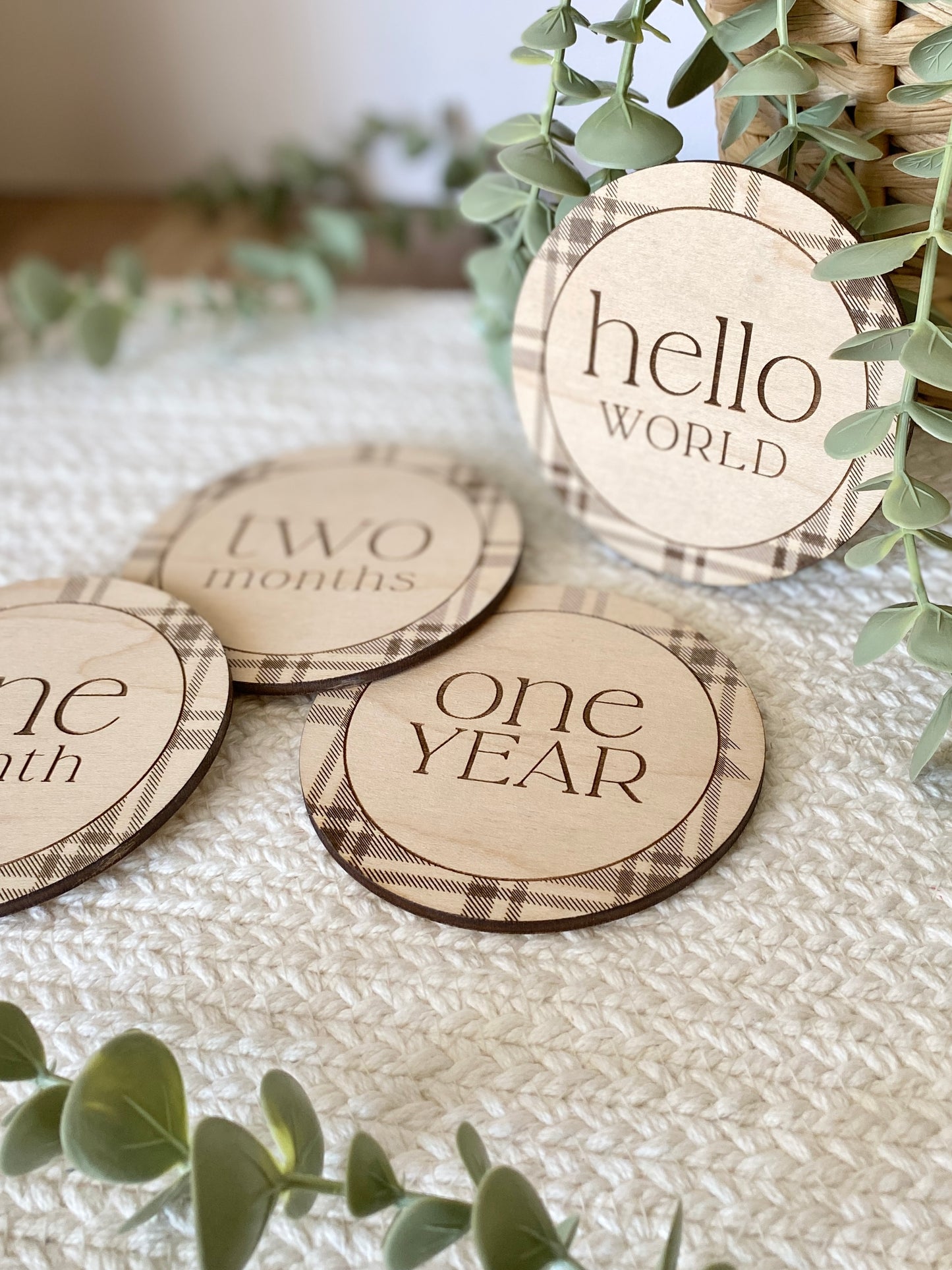 Plaid Baby Monthly Milestone Photo Markers